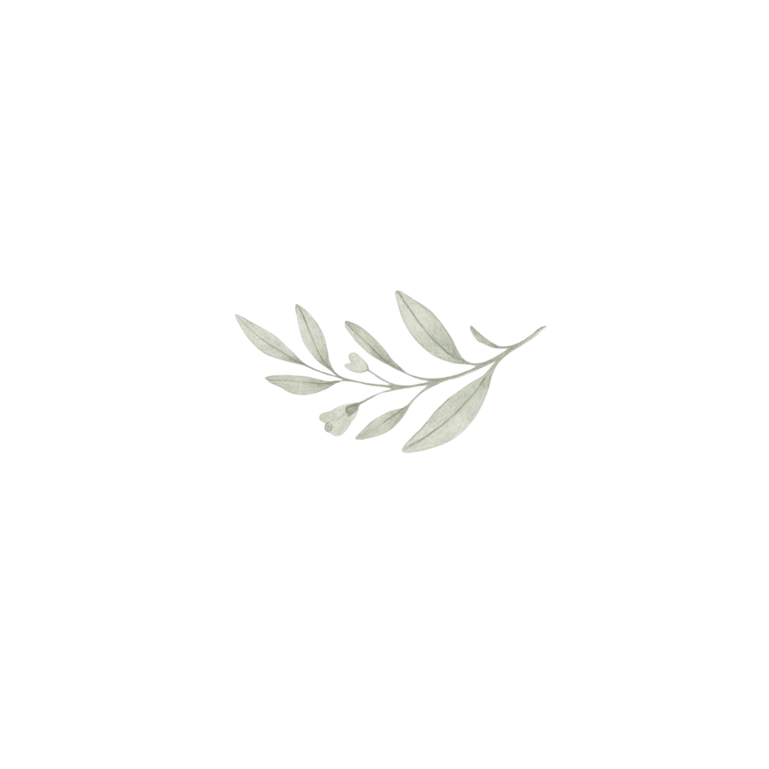 A small brunch with pale-green leaves
