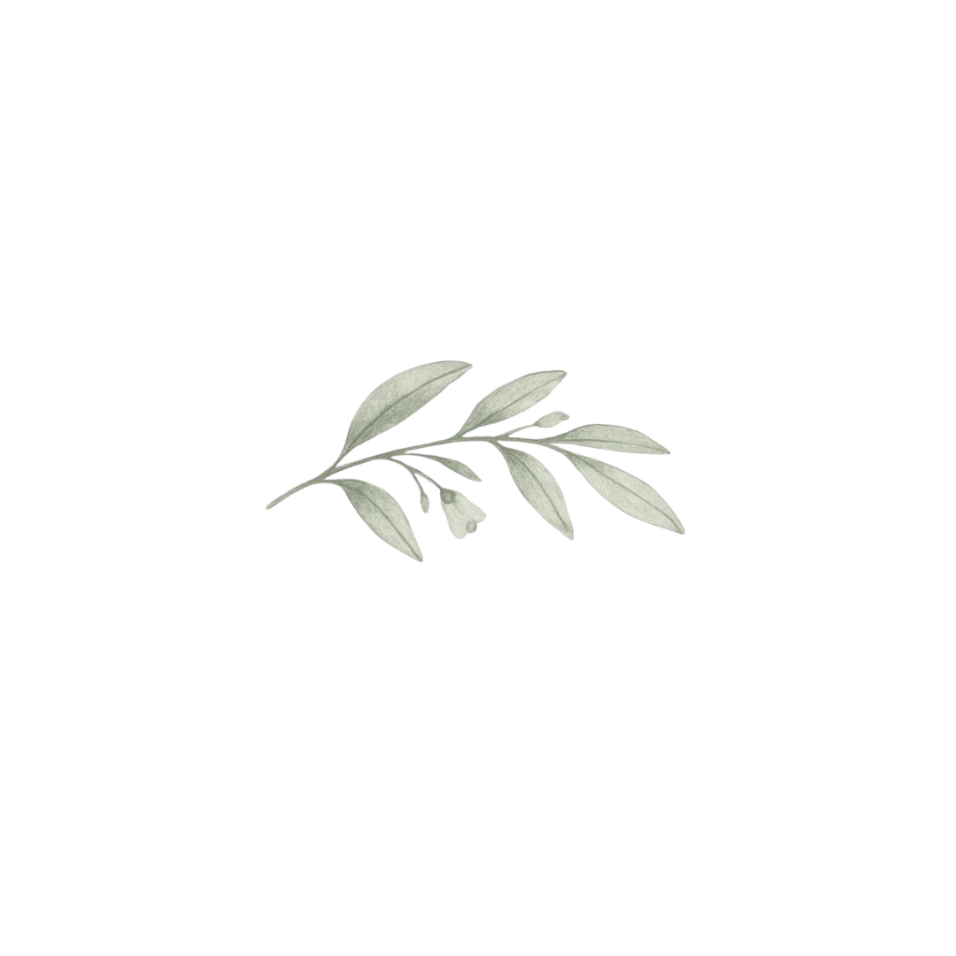 A small brunch with pale-green leaves